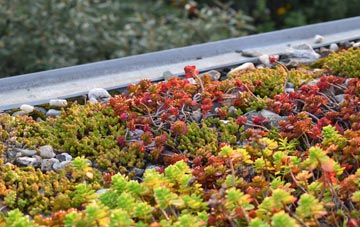 the cost of Astrop green roof installation